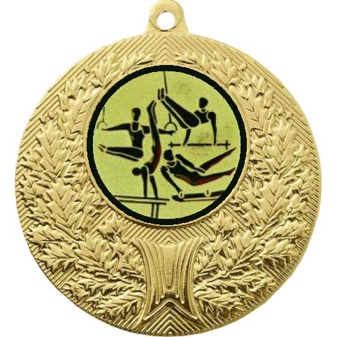 Медаль №566-192 (Спортивная гимнастика, диаметр 50 мм (Медаль цвет золото плюс жетон для вклейки) Место для вставок: обратная сторона диаметр 45 мм)