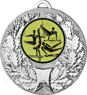 Медаль №566-192 (Гимнастика, диаметр 50 мм (Медаль цвет серебро плюс жетон для вклейки) Место для вставок: обратная сторона диаметр 45 мм)