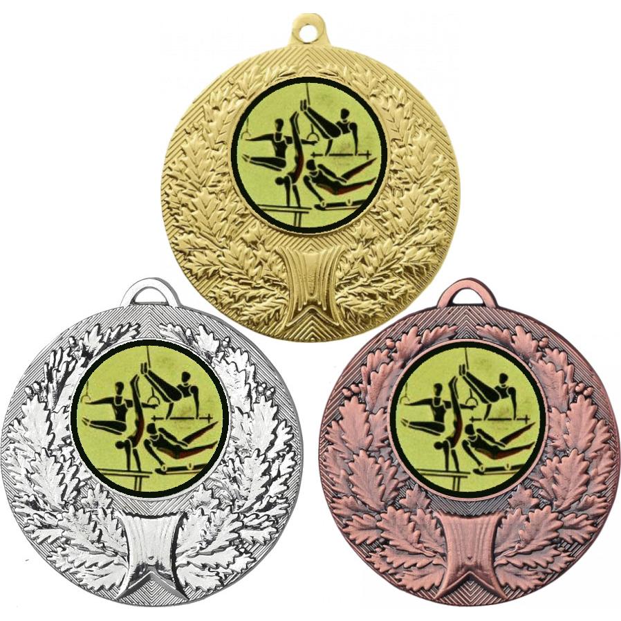 Комплект медалей №566-192 (Гимнастика, диаметр 50 мм (Три медали плюс три жетона для вклейки) Место для вставок: обратная сторона диаметр 45 мм)