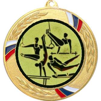 Медаль №566-1285 (Спортивная гимнастика, диаметр 70 мм (Медаль цвет золото плюс жетон для вклейки) Место для вставок: обратная сторона диаметр 60 мм)