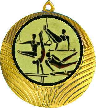 Медаль №566-1302 (Гимнастика, диаметр 56 мм (Медаль цвет золото плюс жетон для вклейки) Место для вставок: обратная сторона диаметр 50 мм)