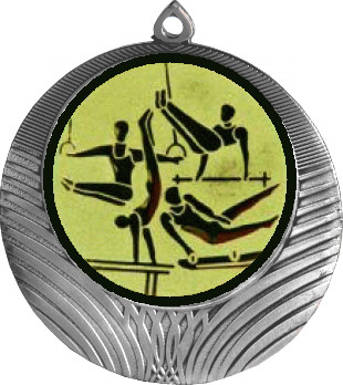 Медаль №566-8 (Гимнастика, диаметр 70 мм (Медаль цвет серебро плюс жетон для вклейки) Место для вставок: обратная сторона диаметр 64 мм)