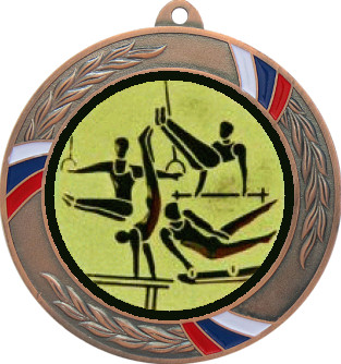 Медаль №566-1285 (Гимнастика, диаметр 70 мм (Медаль цвет бронза плюс жетон для вклейки) Место для вставок: обратная сторона диаметр 60 мм)