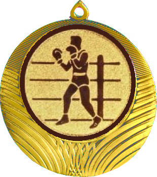 Медаль №571-8 (Бокс, диаметр 70 мм (Медаль цвет золото плюс жетон для вклейки) Место для вставок: обратная сторона диаметр 64 мм)