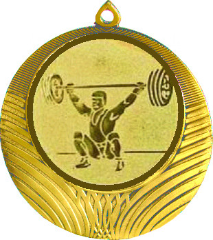 Медаль №574-1302 (Тяжелая атлетика, диаметр 56 мм (Медаль цвет золото плюс жетон для вклейки) Место для вставок: обратная сторона диаметр 50 мм)