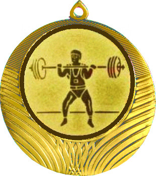 Медаль №575-1302 (Тяжелая атлетика, диаметр 56 мм (Медаль цвет золото плюс жетон для вклейки) Место для вставок: обратная сторона диаметр 50 мм)