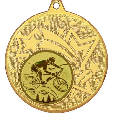 Медаль №576-1274 (Горный велосипед, диаметр 45 мм (Медаль цвет золото плюс жетон для вклейки) Место для вставок: обратная сторона диаметр 40 мм)