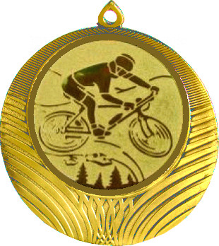 Медаль №576-8 (Велоспорт, диаметр 70 мм (Медаль цвет золото плюс жетон для вклейки) Место для вставок: обратная сторона диаметр 64 мм)