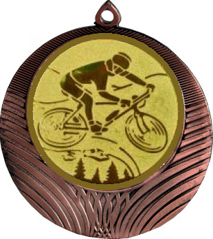 Медаль №576-8 (Велоспорт, диаметр 70 мм (Медаль цвет бронза плюс жетон для вклейки) Место для вставок: обратная сторона диаметр 64 мм)