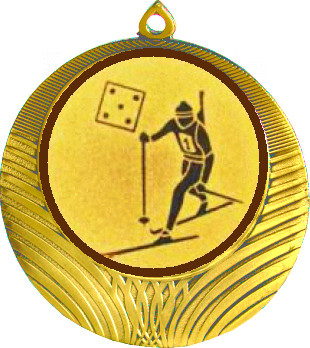 Медаль №579-8 (Биатлон, диаметр 70 мм (Медаль цвет золото плюс жетон для вклейки) Место для вставок: обратная сторона диаметр 64 мм)
