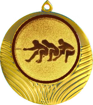 Медаль №581-8 (Перетягивание каната, диаметр 70 мм (Медаль цвет золото плюс жетон для вклейки) Место для вставок: обратная сторона диаметр 64 мм)