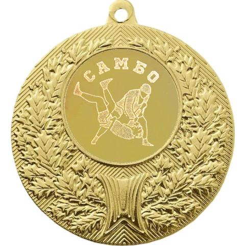 Медаль №584-192 (Самбо, диаметр 50 мм (Медаль цвет золото плюс жетон для вклейки) Место для вставок: обратная сторона диаметр 45 мм)
