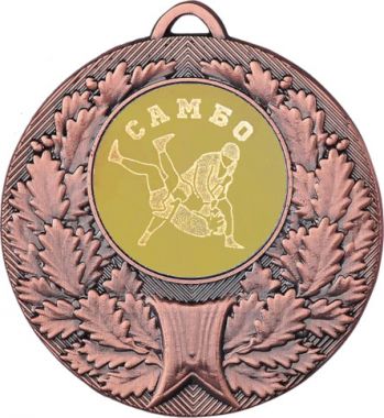 Медаль №584-192 (Самбо/Единоборства, диаметр 50 мм (Медаль цвет бронза плюс жетон для вклейки) Место для вставок: обратная сторона диаметр 45 мм)