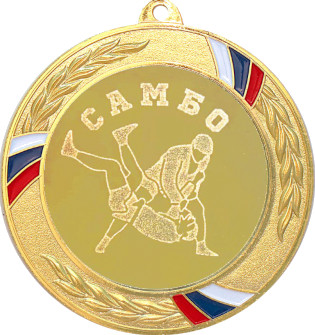 Медаль №584-1285 (Самбо, диаметр 70 мм (Медаль цвет золото плюс жетон для вклейки) Место для вставок: обратная сторона диаметр 60 мм)