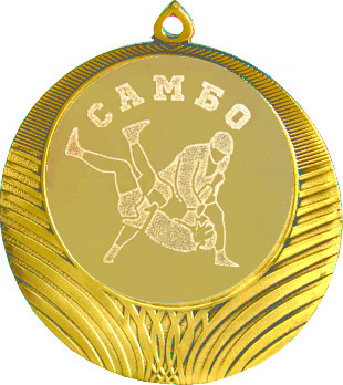 Медаль №584-8 (Самбо/Единоборства, диаметр 70 мм (Медаль цвет золото плюс жетон для вклейки) Место для вставок: обратная сторона диаметр 64 мм)