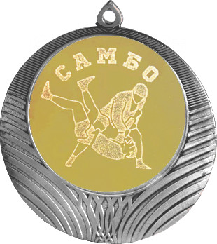 Медаль №584-8 (Самбо/Единоборства, диаметр 70 мм (Медаль цвет серебро плюс жетон для вклейки) Место для вставок: обратная сторона диаметр 64 мм)