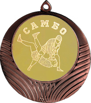 Медаль №584-8 (Самбо, диаметр 70 мм (Медаль цвет бронза плюс жетон для вклейки) Место для вставок: обратная сторона диаметр 64 мм)