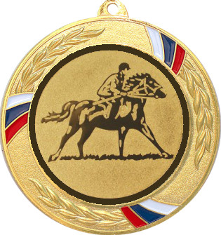 Медаль №614-1285 (Конный спорт, диаметр 70 мм (Медаль цвет золото плюс жетон для вклейки) Место для вставок: обратная сторона диаметр 60 мм)