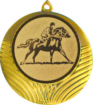 Медаль №614-1302 (Конный спорт, диаметр 56 мм (Медаль цвет золото плюс жетон для вклейки) Место для вставок: обратная сторона диаметр 50 мм)