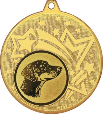 Медаль №626-1274 (Собаководство, диаметр 45 мм (Медаль цвет золото плюс жетон для вклейки) Место для вставок: обратная сторона диаметр 40 мм)