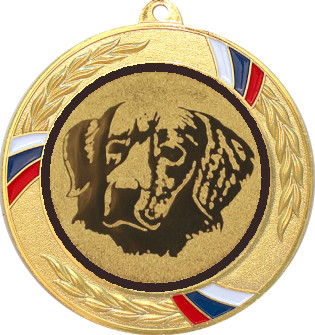 Медаль №629-1285 (Собаководство, диаметр 70 мм (Медаль цвет золото плюс жетон для вклейки) Место для вставок: обратная сторона диаметр 60 мм)