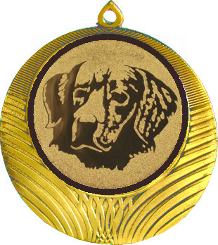 Медаль №629-8 (Собаководство, диаметр 70 мм (Медаль цвет золото плюс жетон для вклейки) Место для вставок: обратная сторона диаметр 64 мм)