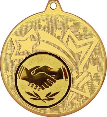 Медаль №63-27 (Товарищеская встреча, диаметр 45 мм (Медаль цвет золото плюс жетон для вклейки) Место для вставок: обратная сторона диаметр 39 мм)