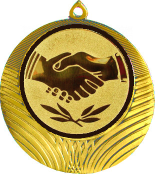 Медаль №63-8 (Товарищеская встреча, диаметр 70 мм (Медаль цвет золото плюс жетон для вклейки) Место для вставок: обратная сторона диаметр 64 мм)