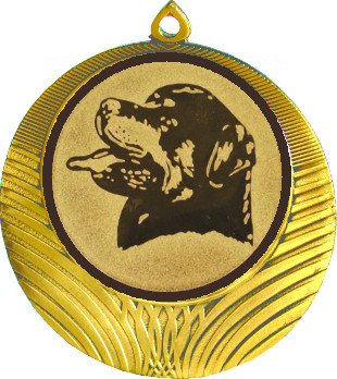 Медаль №630-8 (Собаководство, диаметр 70 мм (Медаль цвет золото плюс жетон для вклейки) Место для вставок: обратная сторона диаметр 64 мм)