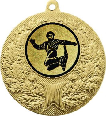 Медаль №66-192 (Сноуборд, диаметр 50 мм (Медаль цвет золото плюс жетон для вклейки) Место для вставок: обратная сторона диаметр 45 мм)