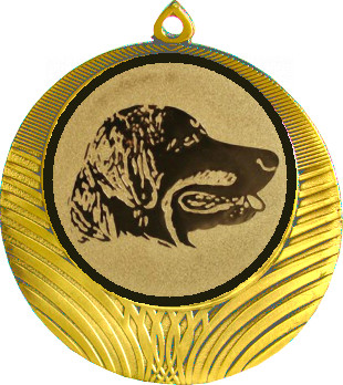 Медаль №67-1302 (Животноводство, диаметр 56 мм (Медаль цвет золото плюс жетон для вклейки) Место для вставок: обратная сторона диаметр 50 мм)