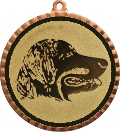Медаль №67-1302 (Животноводство, диаметр 56 мм (Медаль цвет бронза плюс жетон для вклейки) Место для вставок: обратная сторона диаметр 50 мм)