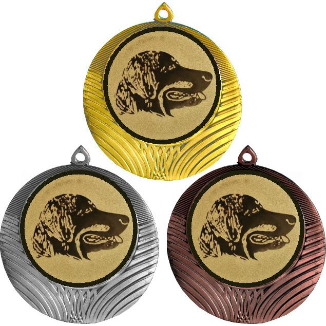 Комплект медалей №67-8 (Выставки собак (собаководство), диаметр 70 мм (Три медали плюс три жетона для вклейки) Место для вставок: обратная сторона диаметр 64 мм)
