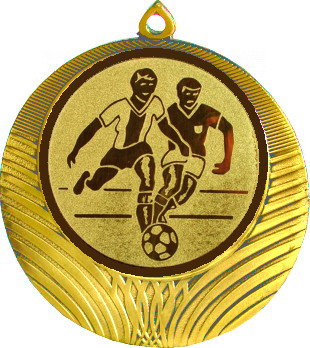 Медаль №73-8 (Футбол, диаметр 70 мм (Медаль цвет золото плюс жетон для вклейки) Место для вставок: обратная сторона диаметр 64 мм)