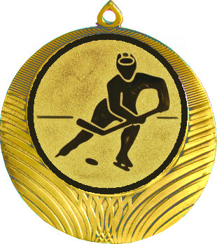 Медаль №75-1302 (Хоккей, диаметр 56 мм (Медаль цвет золото плюс жетон для вклейки) Место для вставок: обратная сторона диаметр 50 мм)