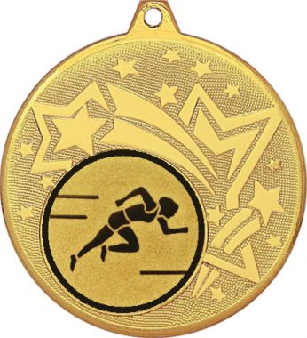 Медаль №78-27 (Легкая атлетика, диаметр 45 мм (Медаль цвет золото плюс жетон для вклейки) Место для вставок: обратная сторона диаметр 39 мм)