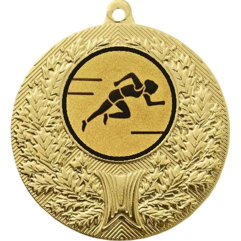 Медаль №78-192 (Лёгкая атлетика, диаметр 50 мм (Медаль цвет золото плюс жетон для вклейки) Место для вставок: обратная сторона диаметр 45 мм)