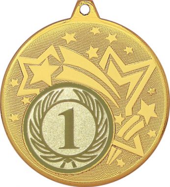 Медаль №9-27 (1 место, диаметр 45 мм (Медаль цвет золото плюс жетон для вклейки) Место для вставок: обратная сторона диаметр 39 мм)
