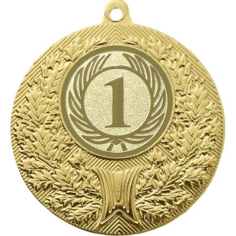 Медаль №9-192 (1 место, диаметр 50 мм (Медаль цвет золото плюс жетон для вклейки) Место для вставок: обратная сторона диаметр 45 мм)