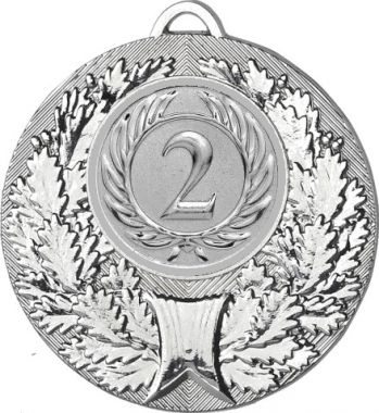 Медаль №9-192 (2 место, диаметр 50 мм (Медаль цвет серебро плюс жетон для вклейки) Место для вставок: обратная сторона диаметр 45 мм)