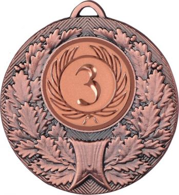Медаль №9-192 (3 место, диаметр 50 мм (Медаль цвет бронза плюс жетон для вклейки) Место для вставок: обратная сторона диаметр 45 мм)