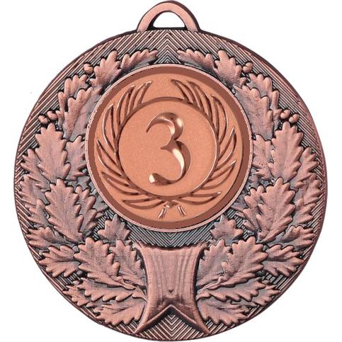 Медаль №9-192 (3 место, диаметр 50 мм (Медаль цвет бронза плюс жетон для вклейки) Место для вставок: обратная сторона диаметр 45 мм)