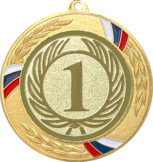 Медаль №9-1285 (1 место, диаметр 70 мм (Медаль цвет золото плюс жетон для вклейки) Место для вставок: обратная сторона диаметр 60 мм)