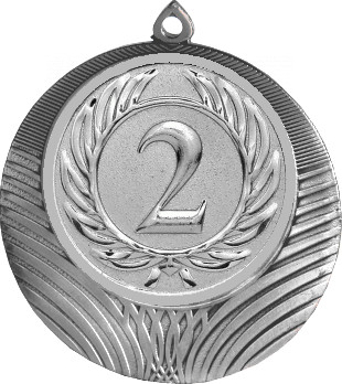 Медаль №9-1302 (2 место, диаметр 56 мм (Медаль цвет серебро плюс жетон для вклейки) Место для вставок: обратная сторона диаметр 50 мм)