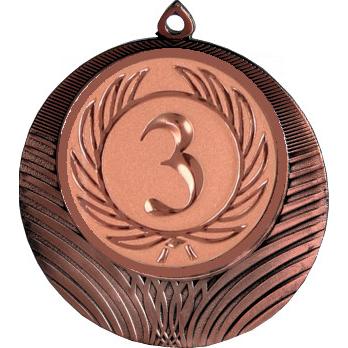 Медаль №9-8 (3 место, диаметр 70 мм (Медаль цвет бронза плюс жетон для вклейки) Место для вставок: обратная сторона диаметр 64 мм)