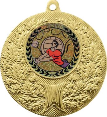 Медаль №92-192 (Волейбол, диаметр 50 мм (Медаль цвет золото плюс жетон для вклейки) Место для вставок: обратная сторона диаметр 45 мм)