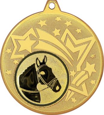 Медаль №956-1274 (Конный спорт, диаметр 45 мм (Медаль цвет золото плюс жетон для вклейки) Место для вставок: обратная сторона диаметр 40 мм)