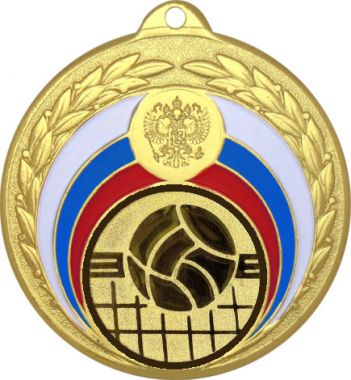 Медаль №966-196 (Волейбол, диаметр 50 мм (Медаль цвет золото плюс жетон для вклейки) Место для вставок: обратная сторона диаметр 45 мм)