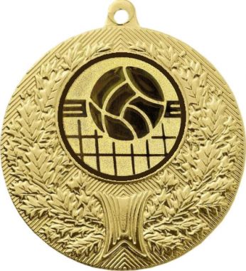 Медаль №966-192 (Волейбол, диаметр 50 мм (Медаль цвет золото плюс жетон для вклейки) Место для вставок: обратная сторона диаметр 45 мм)