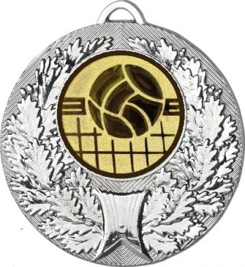Медаль №966-192 (Волейбол, диаметр 50 мм (Медаль цвет серебро плюс жетон для вклейки) Место для вставок: обратная сторона диаметр 45 мм)
